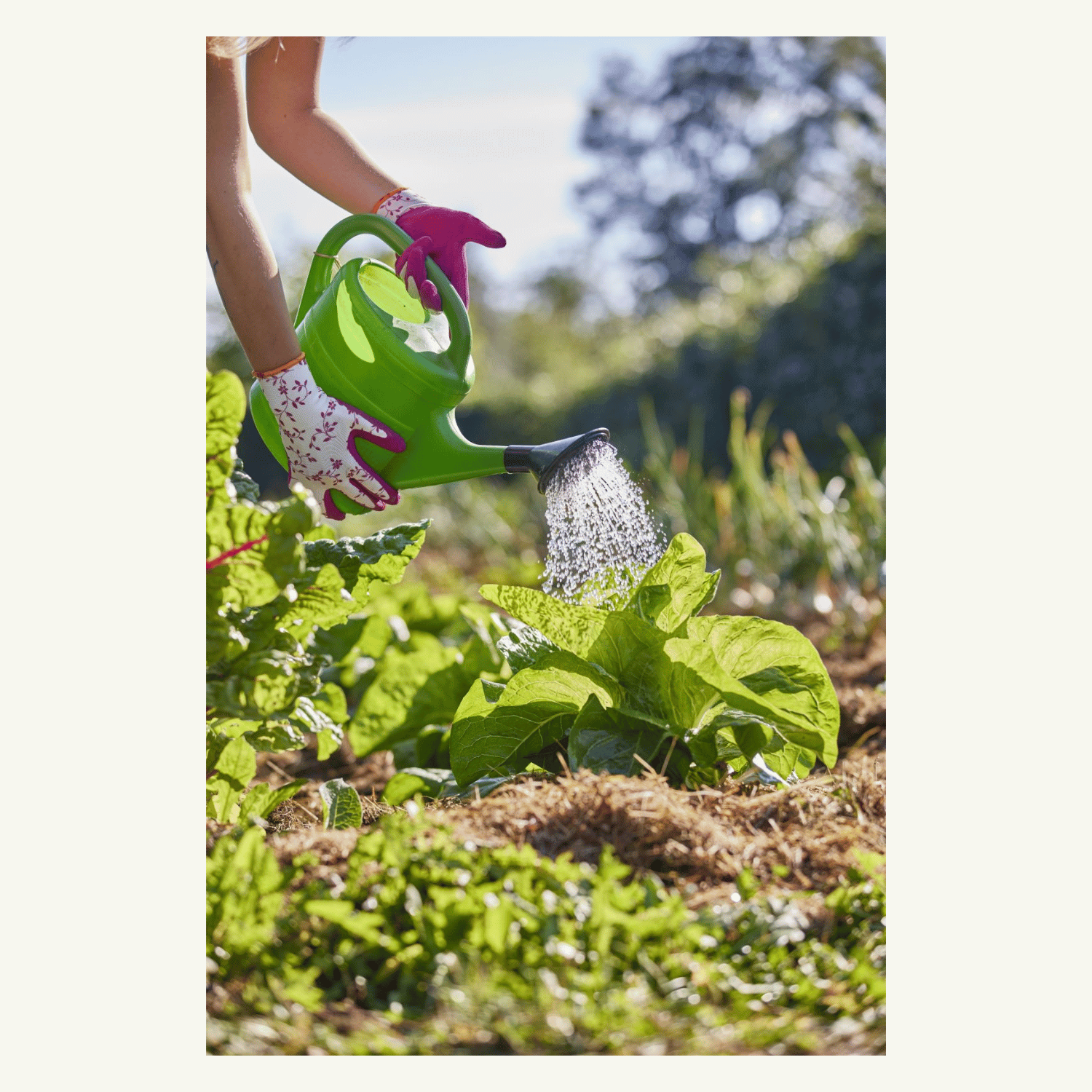 Gebol Gartenhandschuh Damen FLOWER DUO 2er Set Gr. 7 – Bild 5